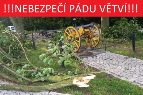 web pozvánka